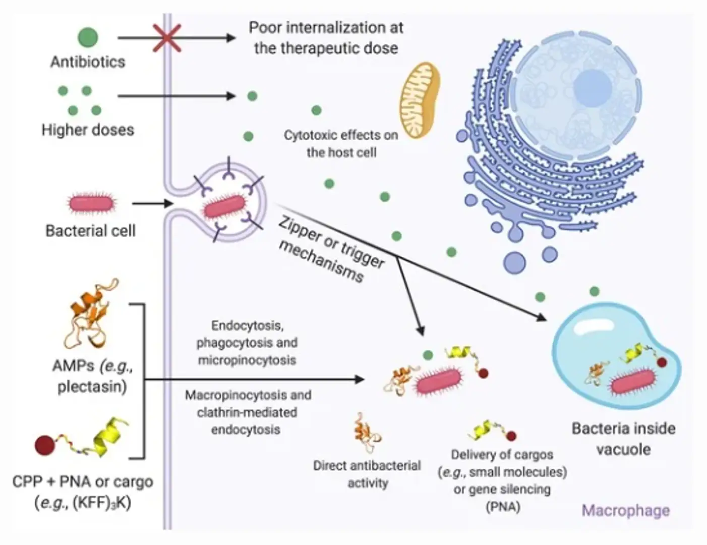 6930f73abe6f7e1e705206af